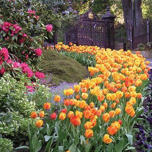 Royal Tasmanian Botanical Gardens