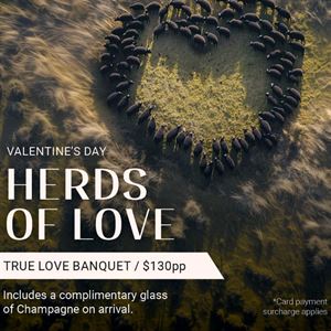 HERDS OF LOVE