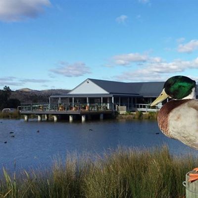 Puddleduck Vineyard